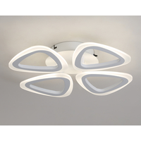 Ambrella light Acrylica FA4482 Image #2
