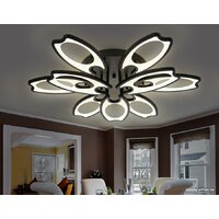 Ambrella light Acrylica FA581 Image #4