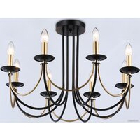 Ambrella light Traditional TR9622/8 BK/CGD Image #2