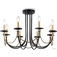 Ambrella light Traditional TR9622/8 BK/CGD Image #1