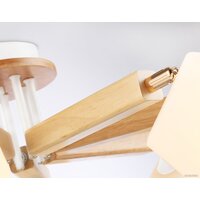 Ambrella light Traditional TR9522 Image #5