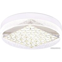 Ambrella light Acrylica FA151 Image #1