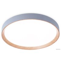 Ambrella light FZ1322 (серый/светлое дерево) Image #2