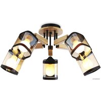 Ambrella light Traditional TR9529