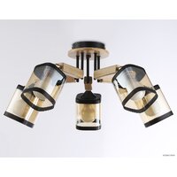 Ambrella light Traditional TR9529 Image #3