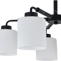 Escada 2133/5P Image #4