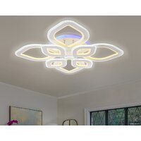 Ambrella light Acrylica FA8844 Image #4