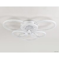 Ambrella light Acrylica FA4085 Image #4