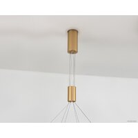 Ambrella light Comfort FL5885/2 GD (золото) Image #8