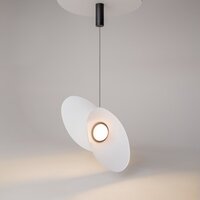 Maytoni Evolution MOD396PL-L10W3K Image #3