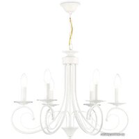 Ambrella light TR TR9611 Image #1