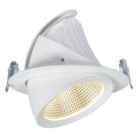 Smart Lamps Delius Evo Dl-Et-D02240Ww-38