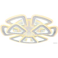 Ambrella light Acrylica FA8892 Image #1