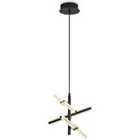 Freya Brilliance FR5557PL-L14B