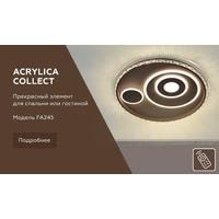 Ambrella light Acrylica FA245 CF Image #5