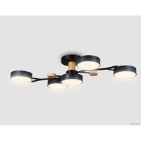 Ambrella light FL4835/5 BK Image #1