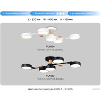 Ambrella light FL4835/5 BK Image #7