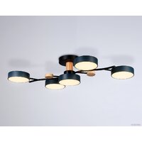 Ambrella light FL4835/5 BK Image #3