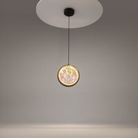 Maytoni Misterio MOD379PL-L6B3K Image #2