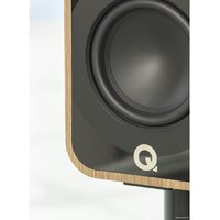 Q Acoustics 5020 (дуб) Image #11