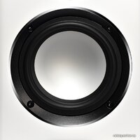 Elac Carina BS243.4 (белый) Image #7
