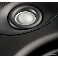 Polk Audio Vanishing V85 Image #4