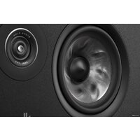 Polk Audio Reserve R300 (черный) Image #9