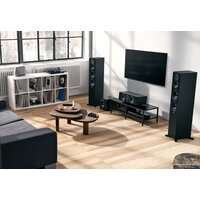 Dynaudio Emit 25С (черный) Image #9