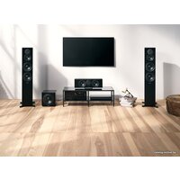 Dynaudio Emit 25С (черный) Image #8