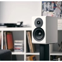 Dynaudio Emit 10 (белый) Image #7