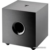 Focal Cub Evo