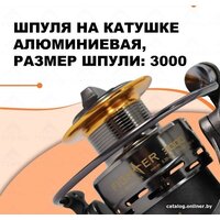 Ryobi Fighter 3000 Image #7