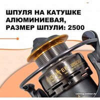 Ryobi Fighter 2500 Image #8