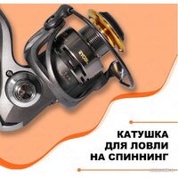 Ryobi Fighter 2000 Image #10