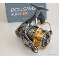 Ryobi Ecusima Pro 4000 LT Image #8