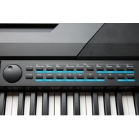 Kurzweil KA120 (черный) Image #5