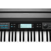 Kurzweil KA120 (черный) Image #9