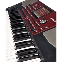 KORG Pa700 Image #18