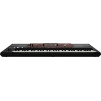 KORG Pa700 Image #3