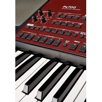 KORG Pa700 Image #19