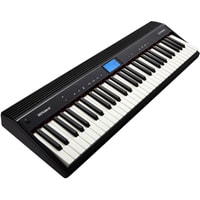 Roland Go:Piano GO-61P Image #2