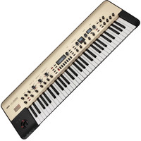 KORG KingKORG Image #6