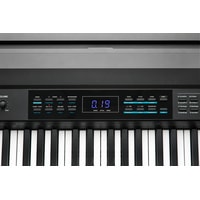 Kurzweil KA70 (черный) Image #5