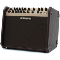 Fishman Loudbox Artist Image #3