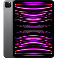 Apple iPad Pro 11" 2022 5G 2TB MP5G3 (серый космос) Image #1