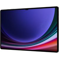 Samsung Galaxy Tab S9 Ultra 5G SM-X916 16GB/1TB (графитовый) Image #7