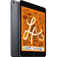 Apple iPad mini 2019 256GB LTE MUXC2 (серый космос) Image #2