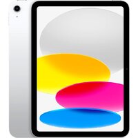 Apple iPad 11