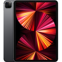 Apple iPad Pro M1 2021 11" 256GB 5G MHW73 (серый космос) Image #1