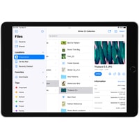 Apple iPad 10.2" 2021 64GB 5G MK493 (серебристый) Image #5